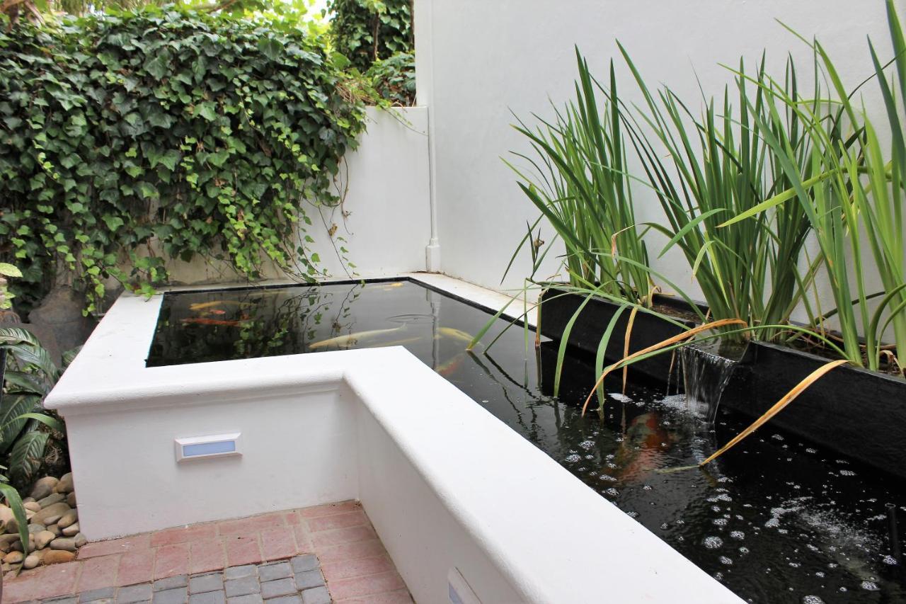 Van Der Stel Manor ステレンボッシュ エクステリア 写真
